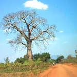 Pinceladas de cotidianidad en Mozambique
