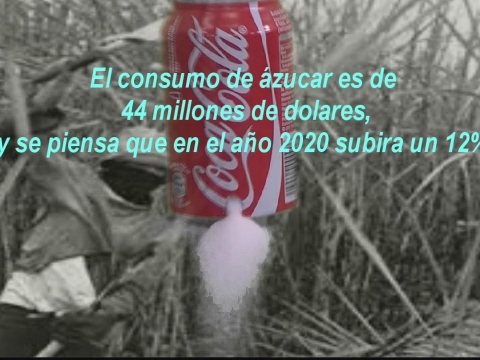 NO al acaparamiento de tierras