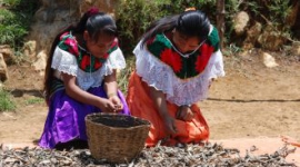 Mujeres indígenas trabajando Chiapas. Manos Unidas.