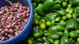 Derecho a la alimentación